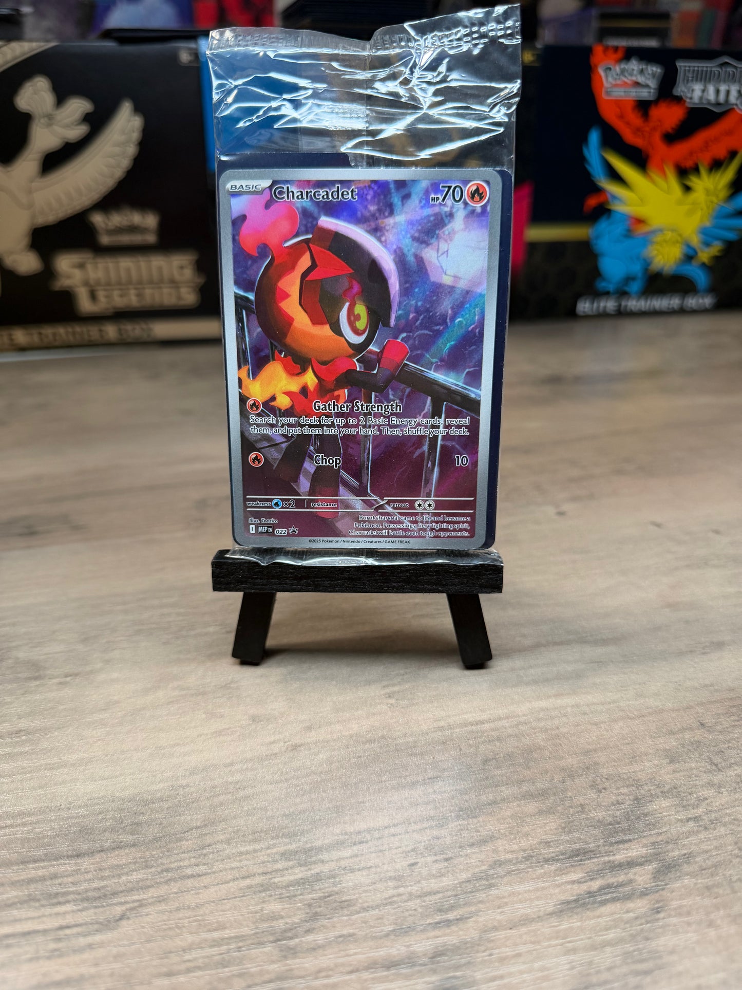 Charcadet ETB Promo
