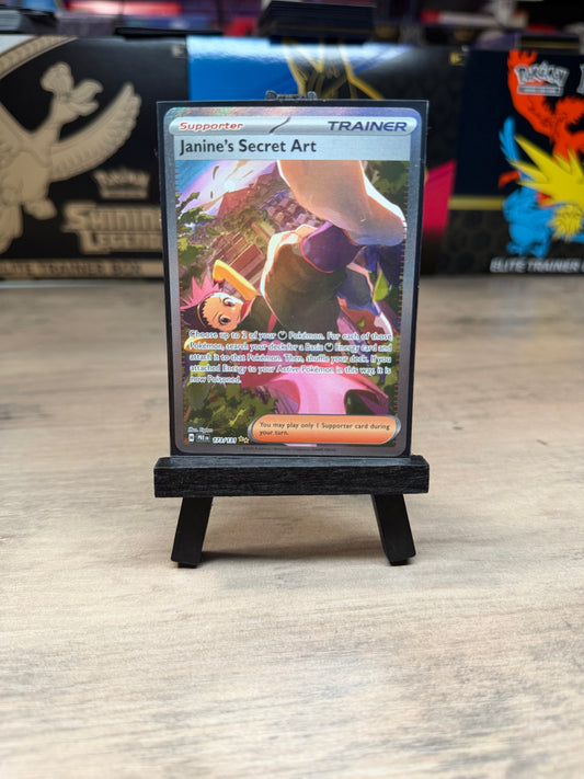 Janine’s Secret Art